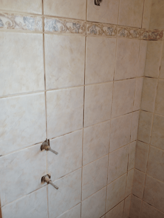 shower-leaking-fix